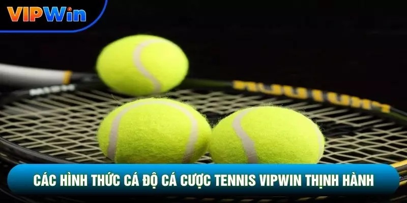 Cá Cược Tennis Vipwin - 3 Cấp Độ Giải Đấu Grand Slam ATP Challenger 2 Các hình thức cá độ cá cược tennis vipwin thịnh hành