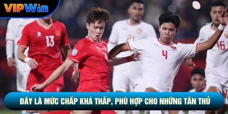 Kèo Handicap Vipwin - 7 Mức Chấp Từ 0 Đến 1.5 Trái Châu Á 3 Đây vẫn là mức chấp khá thấp, phù hợp cho những tân thủ