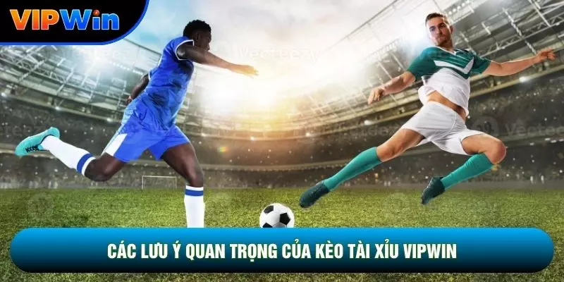 Kèo Tài Xỉu Vipwin Là Gì - 3 Mốc Chính 2.5, 2.75 Và 3 Trái Thẳng 5 Các lưu ý quan trọng của kèo tài xỉu vipwin