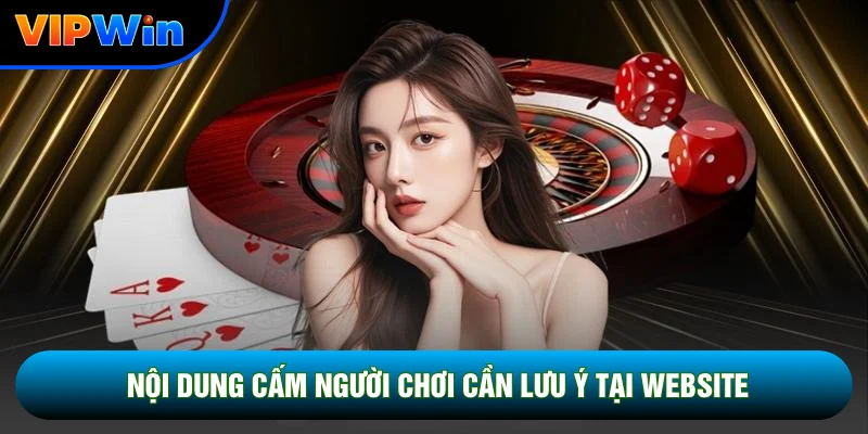 Điều Khoản Dịch Vụ Vipwin - 5 Quy Định Cốt Lõi Bảo Vệ Hội Viên 2026 5 Nội dung cấm người chơi cần lưu ý tại website